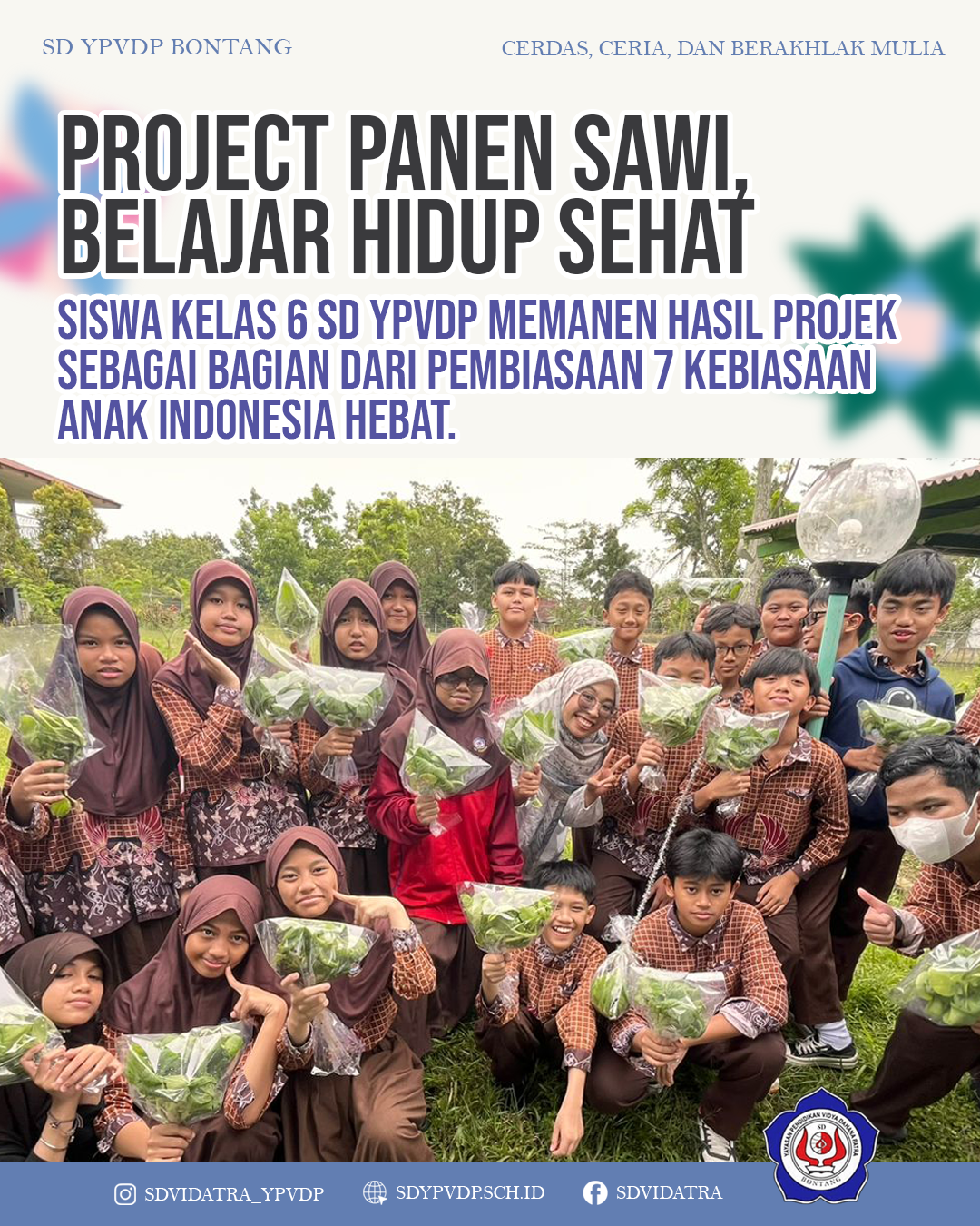 Siswa kelas 6 SD YPVDP memanen hasil projek sebagai bagian dari pembiasaan 7 Kebiasaan Anak Indonesia Hebat.